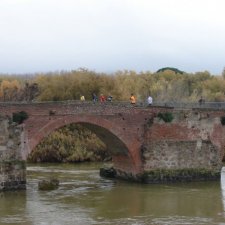 Carrera "Vuelta la Barrio" 2008