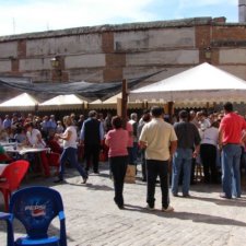 Fiestas del Barrio 2009