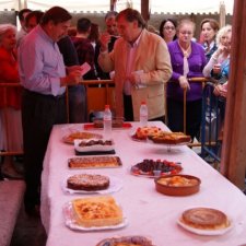 Fiestas del Barrio 2010