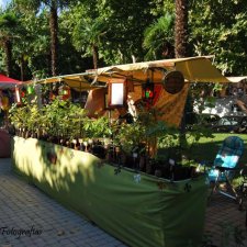 Mercado de Artesanía "San Jerónimo"